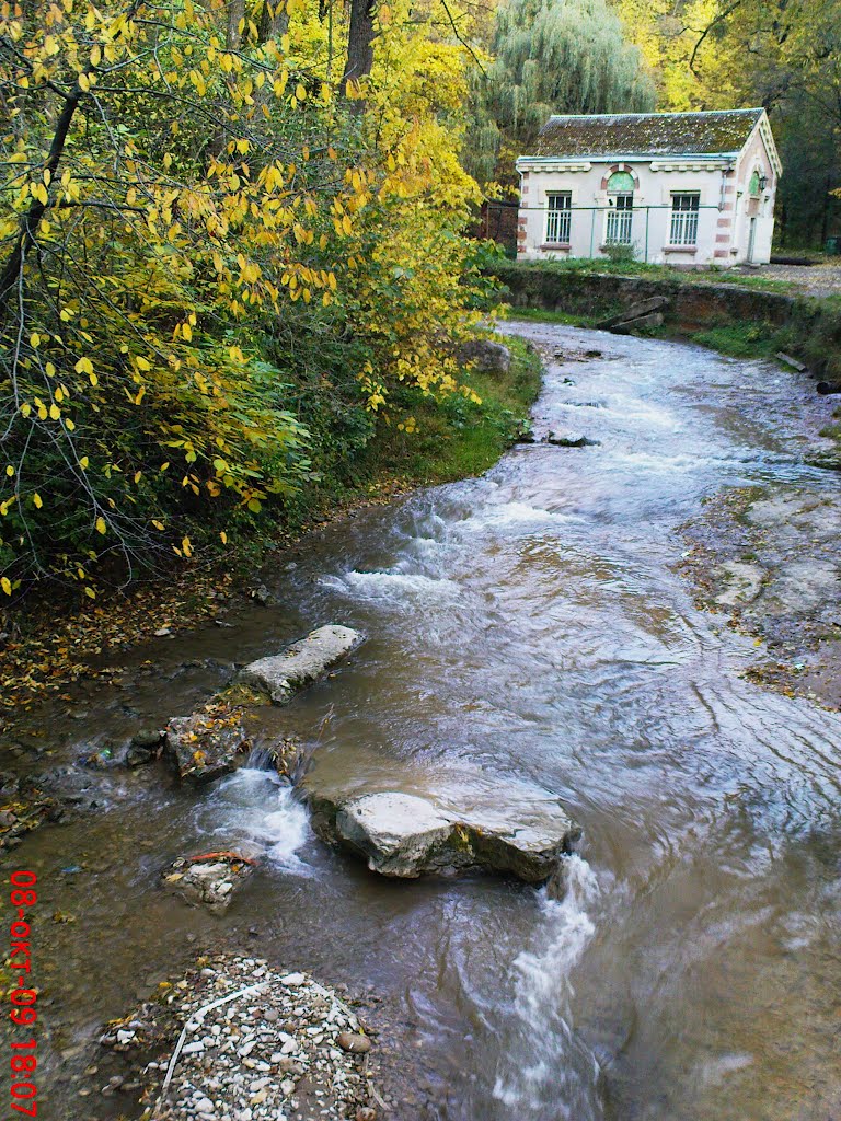 Река Ольховка в парке