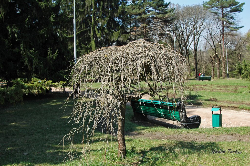 Весна в парке
