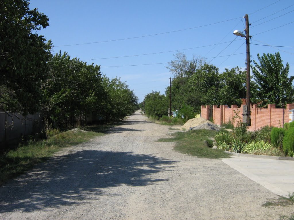 Село Кочубеевское, улица Вольная, вид на ЮЗ