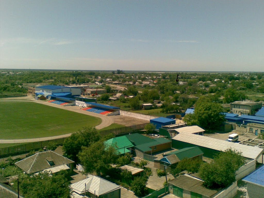Stadion