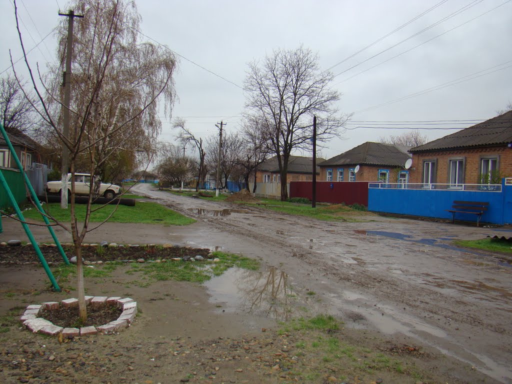 Некрасова