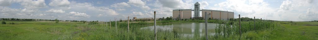 Панорама. Курсавка. Элеватор