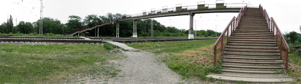 Панорама. Курсавка. Мост.