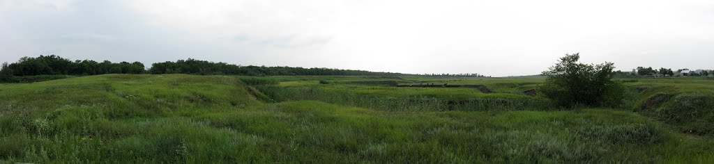 Панорама. Курсавка. Степь за элеватором. Стадо.