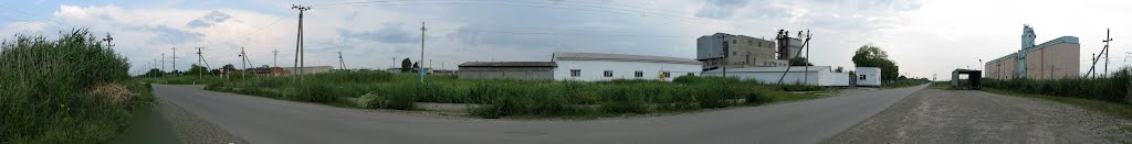 Панорама. Курсавка. Элеватор и пищекомбинат.