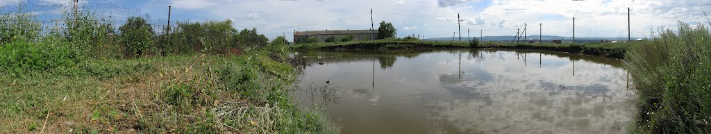Панорама. Курсавка - пруд ПДУ. Место купания детей.