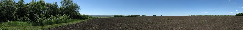 Панорама. Поле южнее элеватора. Слева Воровсколесские горы. Сзади (за лесополосой) трасса. Стоянка в лесополке около южного выезда из Курсавки