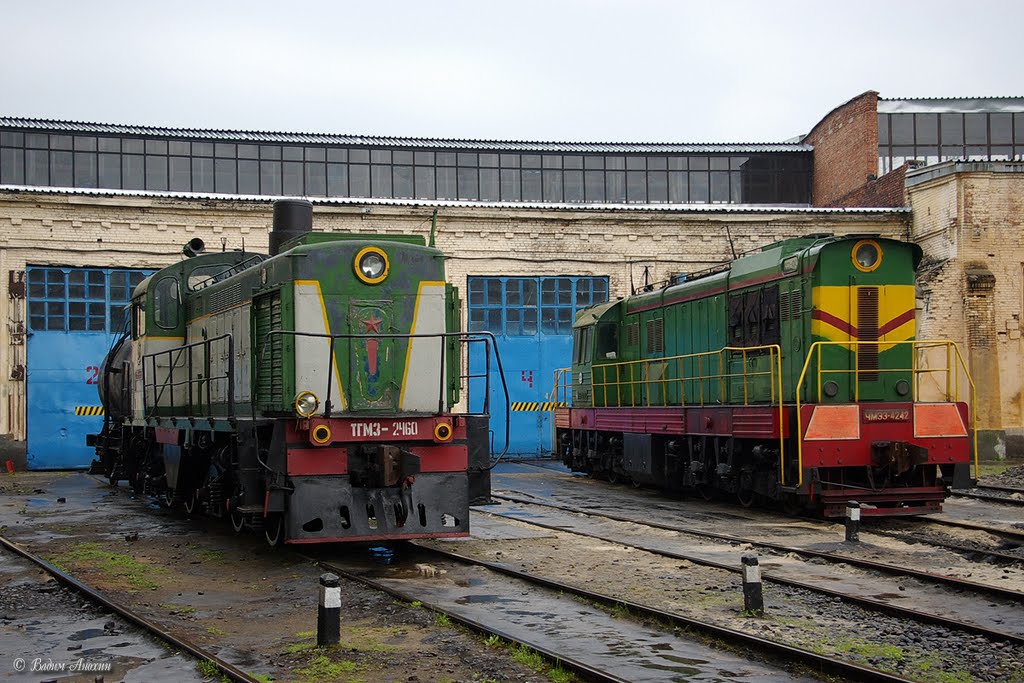 Diesel shunters TGM3B-2460 and ChME3-4242 in depot of train station Mineralnye Vody