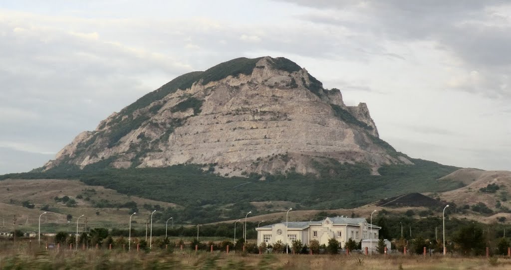 Змейка