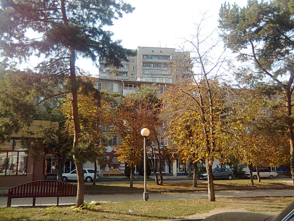 Возле Компьютерного Магазина "Ника". Next to the Computer Shop "Nick"