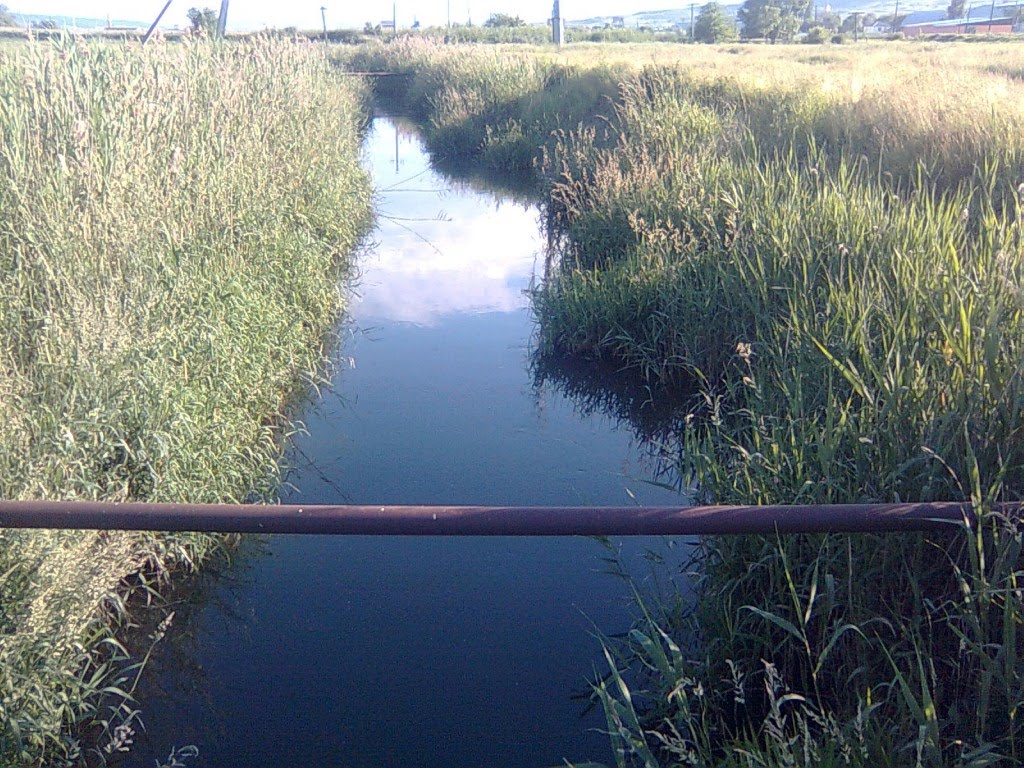 Река Джемуха (2011). Dzhemuha River (2011)