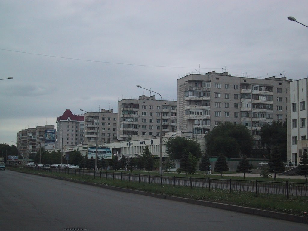 Gagarina street