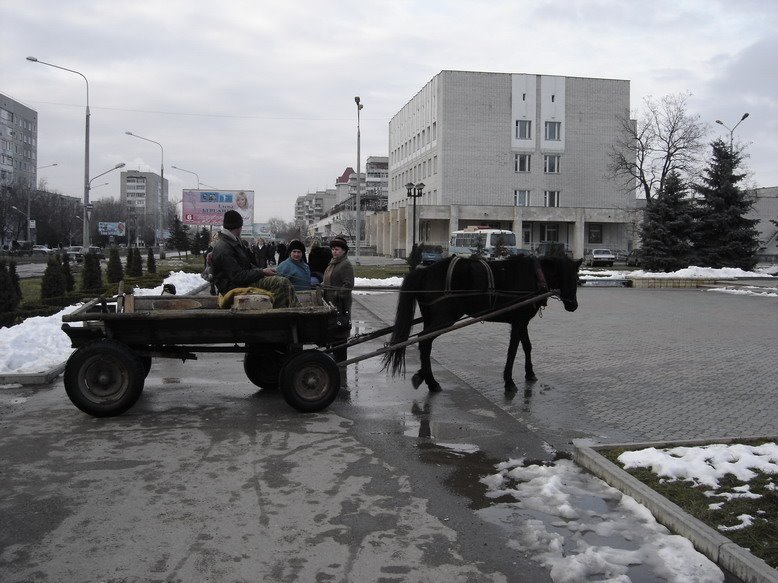 Лошадь