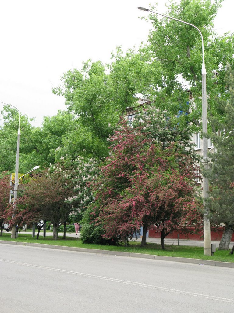 Улица Гагарина (Gagarin st.) 1