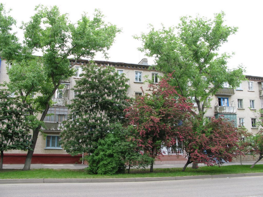 Улица Гагарина (Gagarin st.) 1