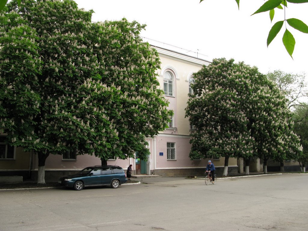 Цветущий город