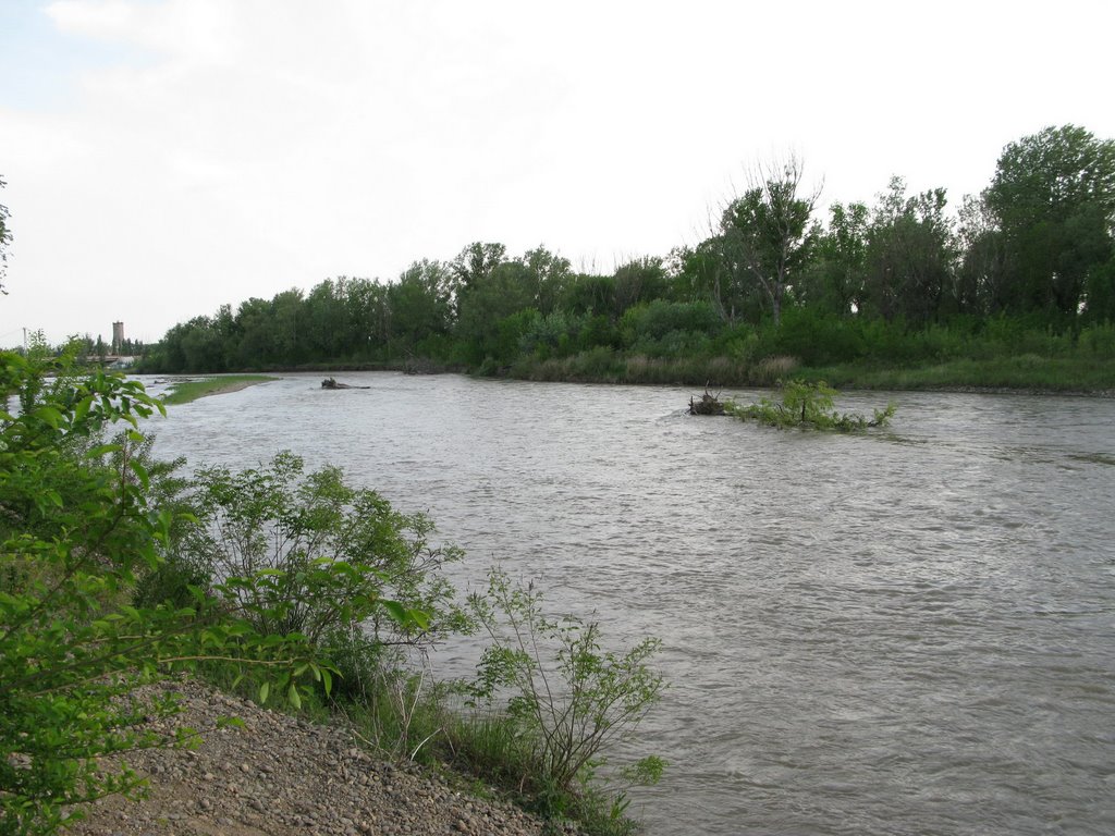 Kuban river