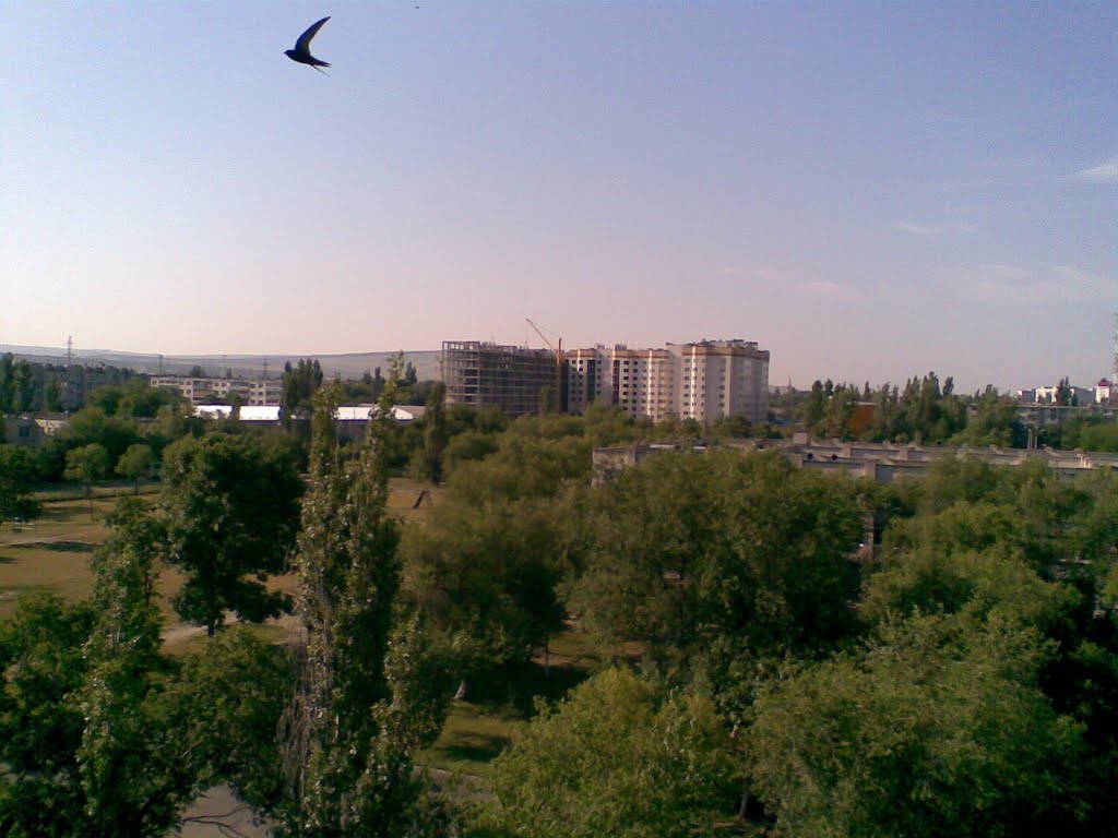 3 интернационала 5