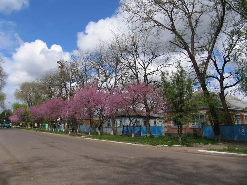Novoaleksandrovsk