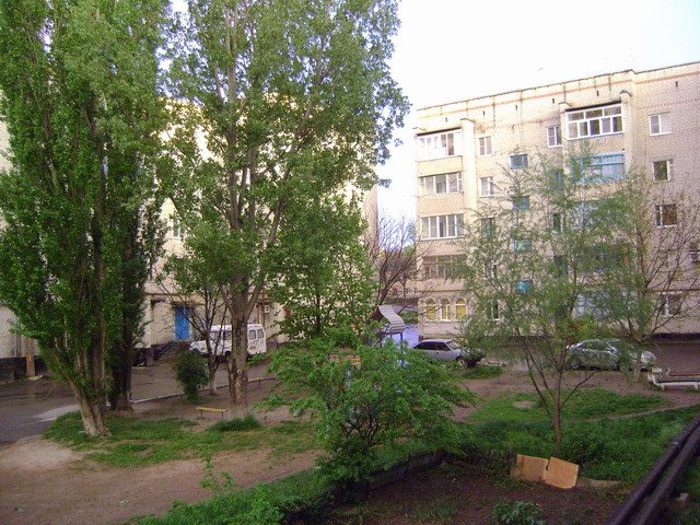 пер.Шевченко 1 (двор)