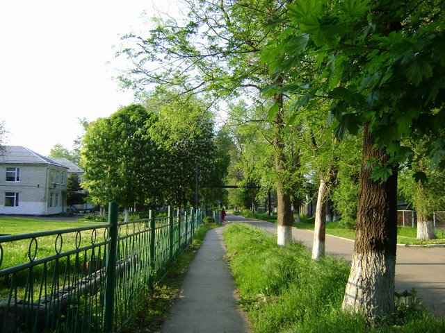 пер.Пугач, около лицея "Экос"