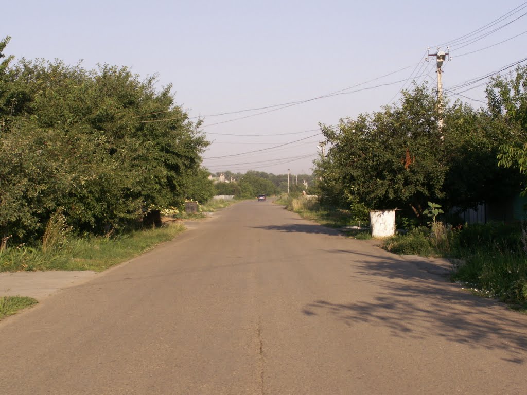 улица Залесного