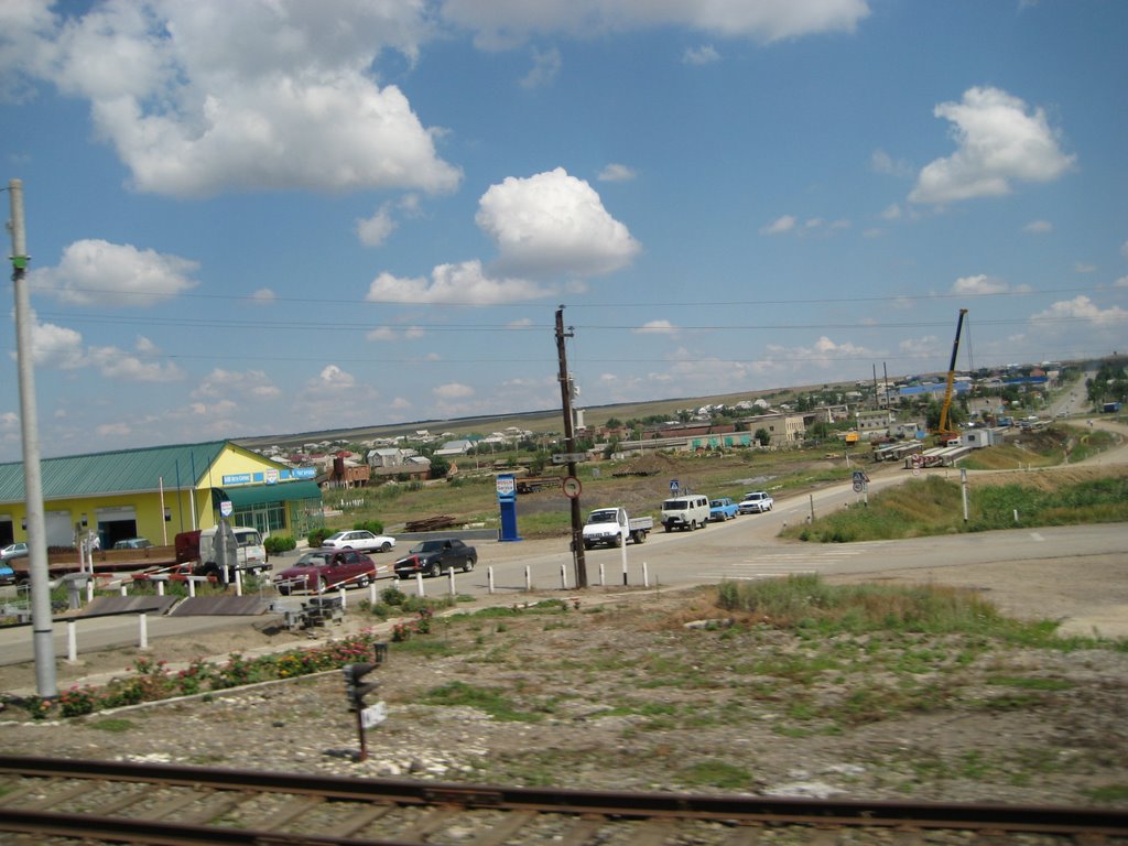 КУРСАВКА