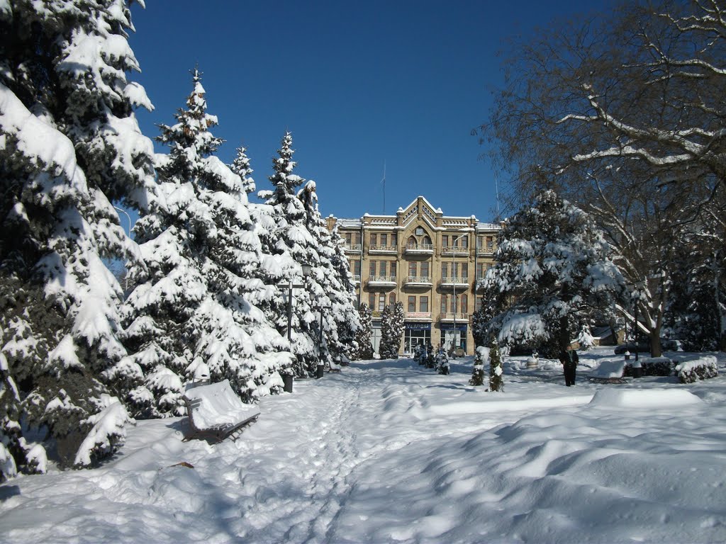 Зимний сквер