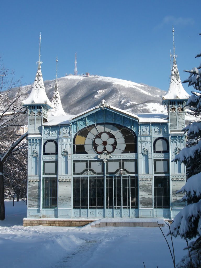 Цветник зимой / Winter Park