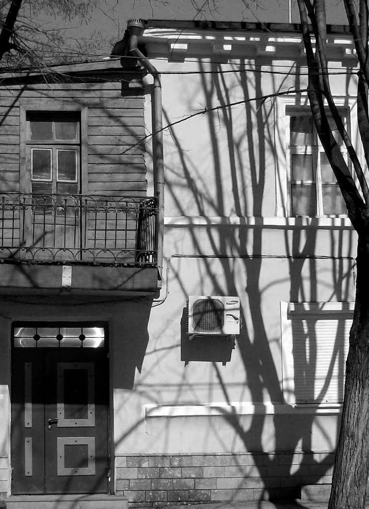 The Shadow