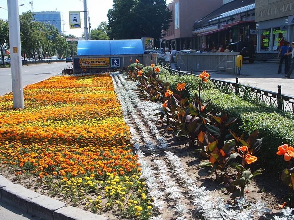 Srtavropol, center, flowers