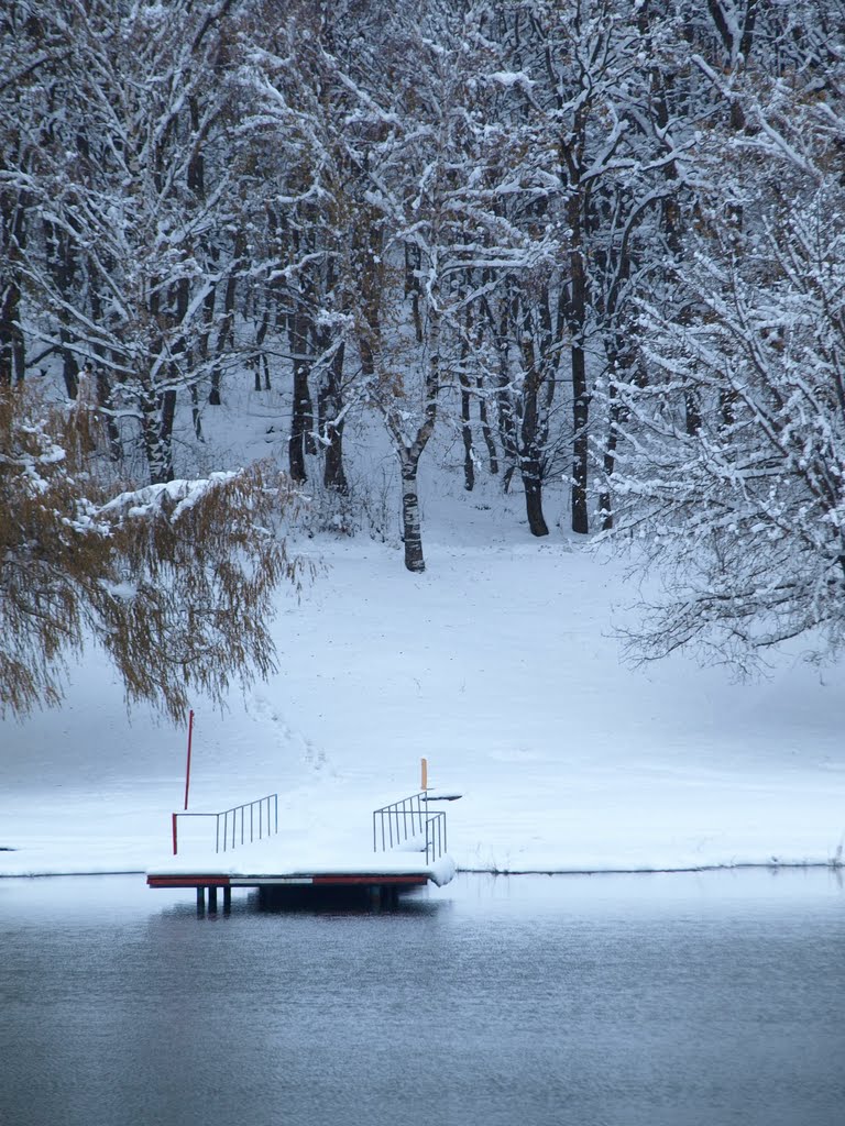 Pond in city Stavropol. November 2011