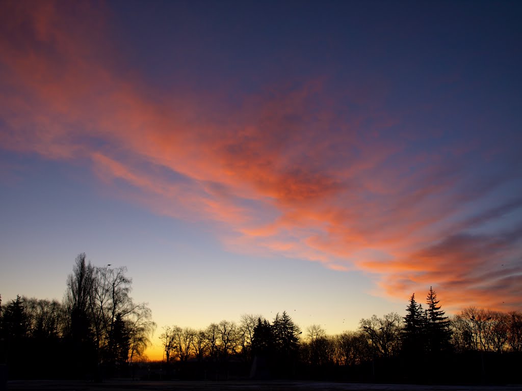 Dawn...