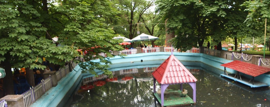 Old pond in old park