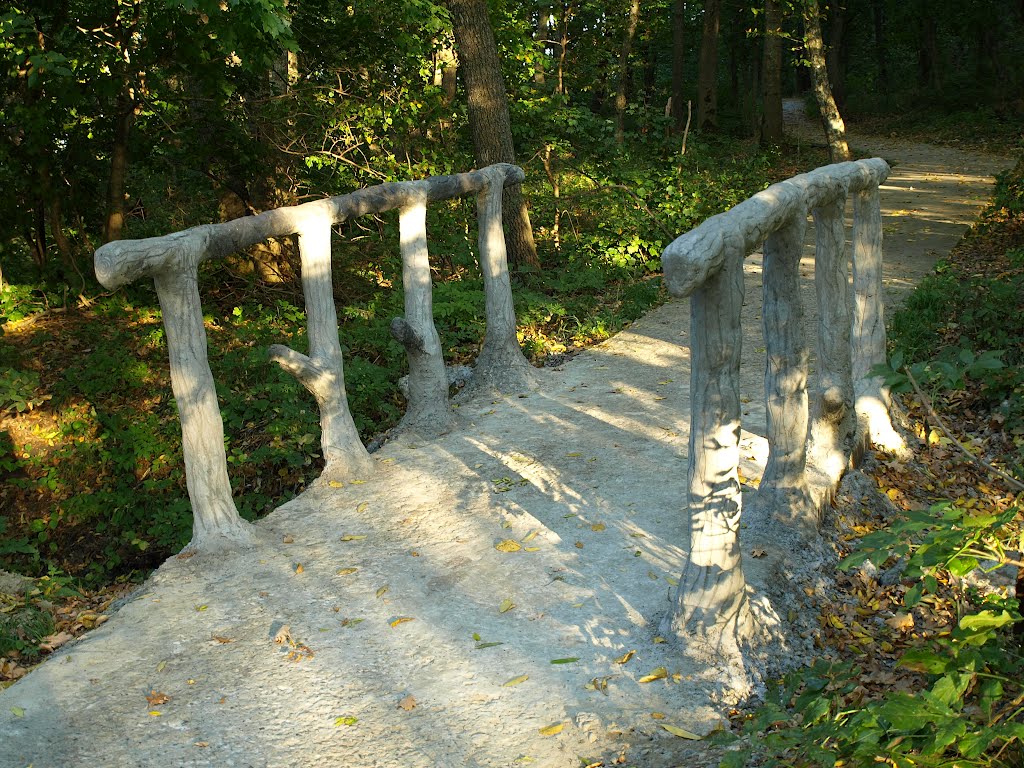 The bridge.