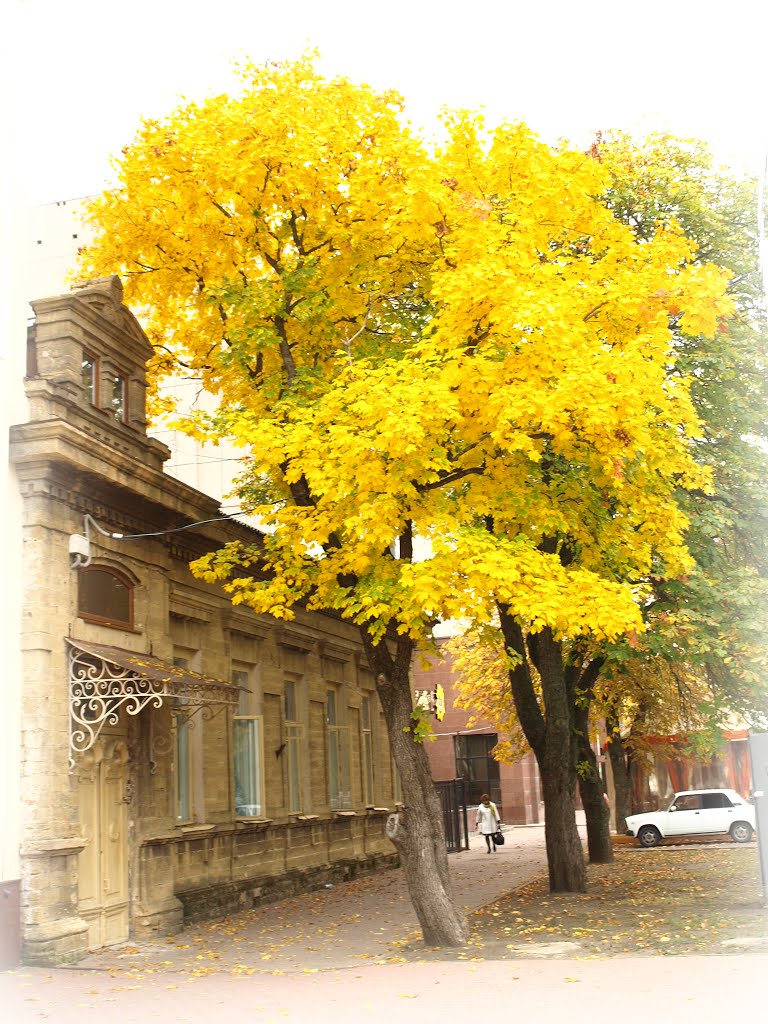 Autumn city.