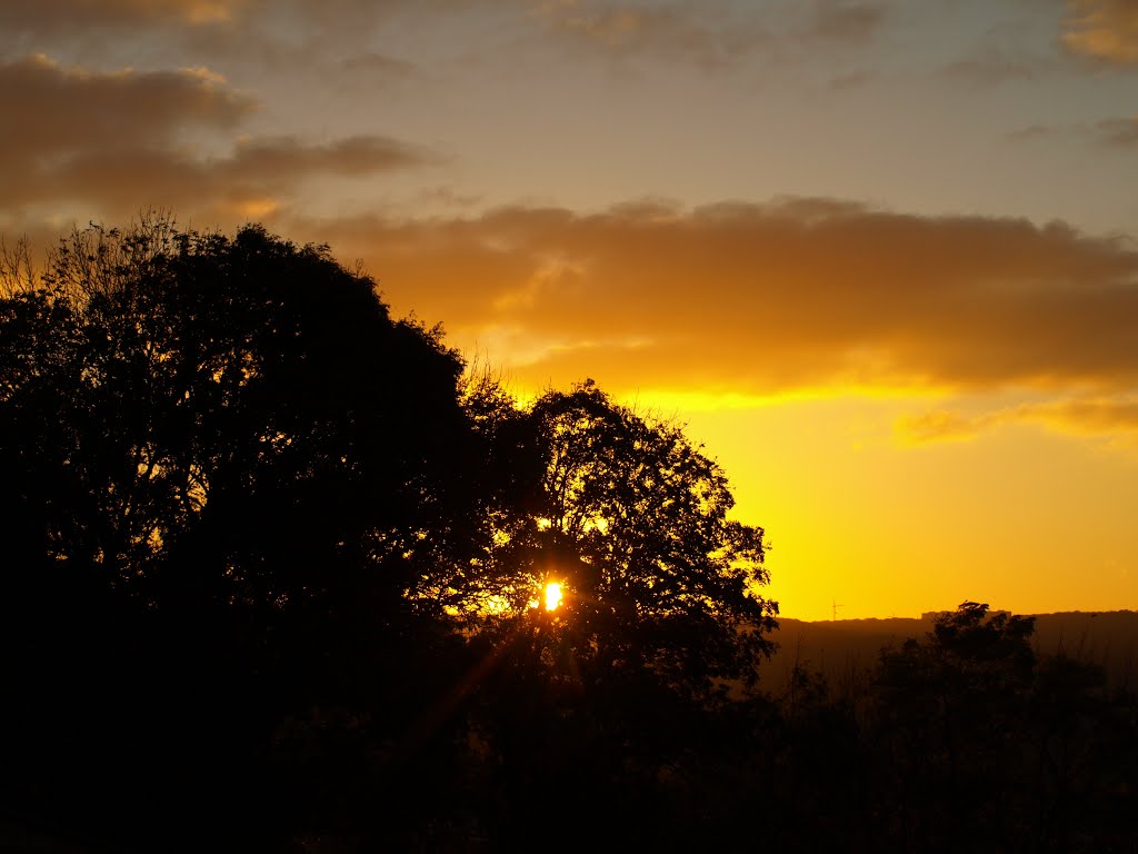 Sunset.