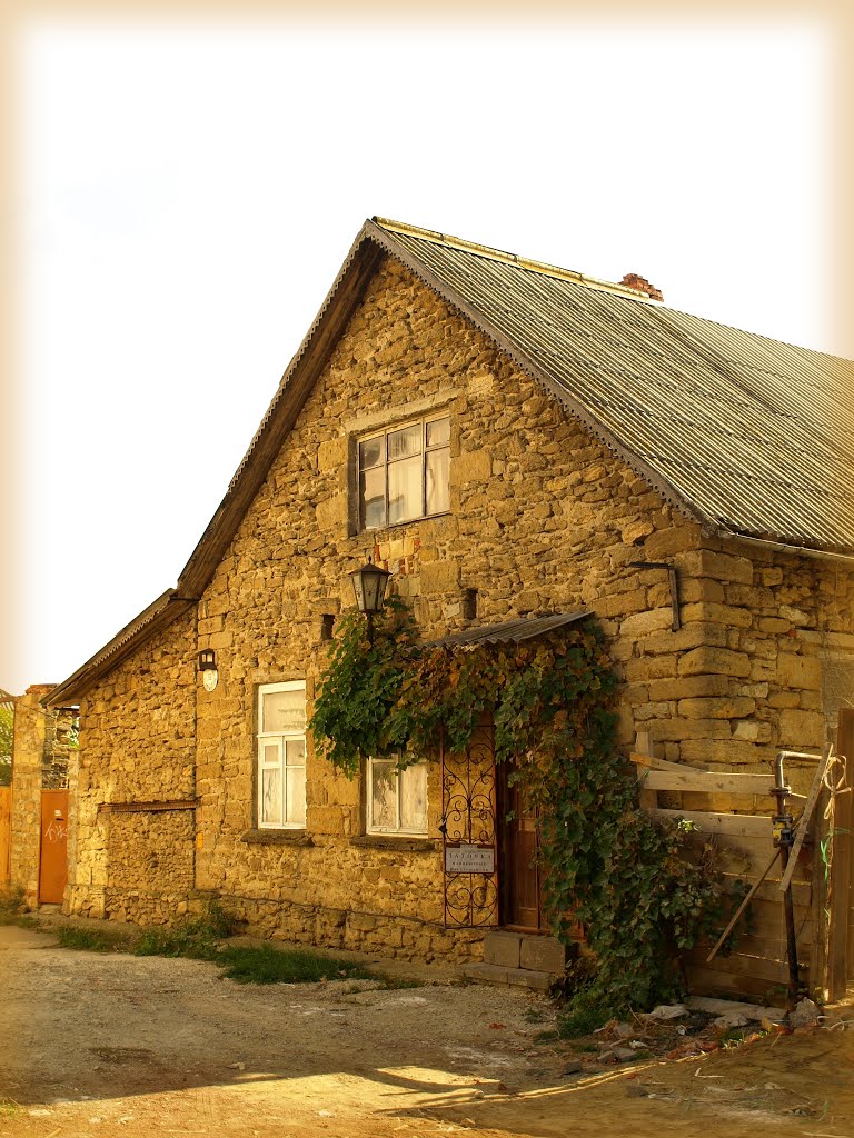 The house.