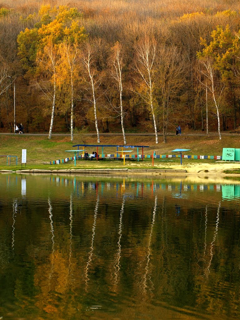 Autumn pond in the evening.