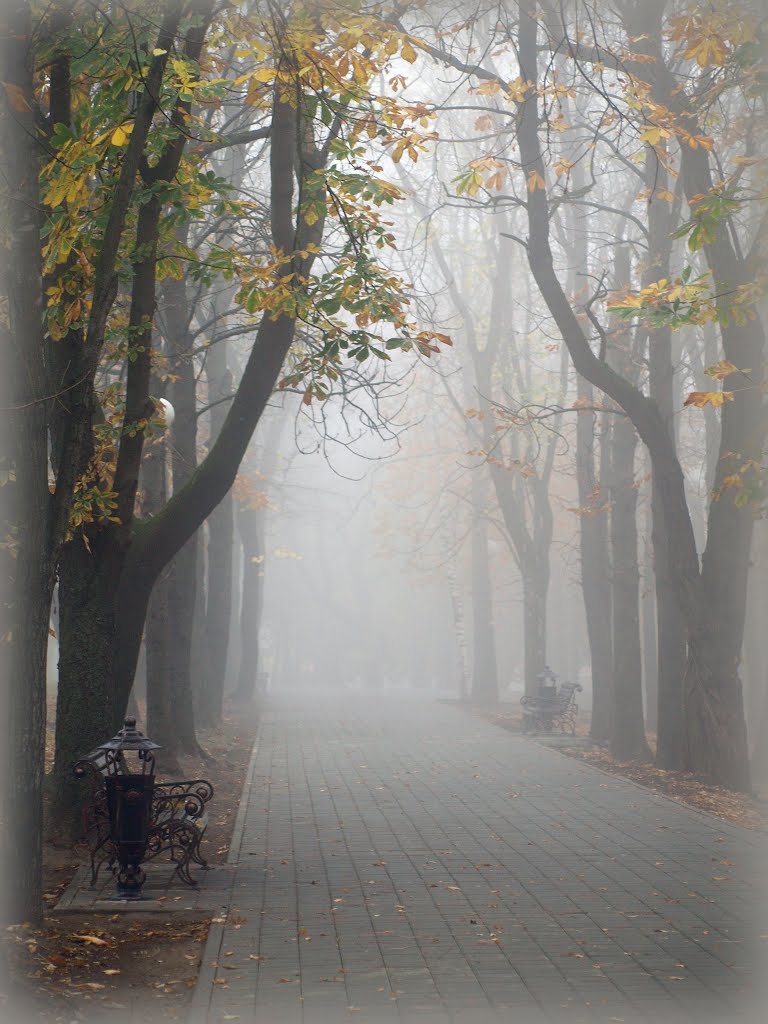 Autumn.