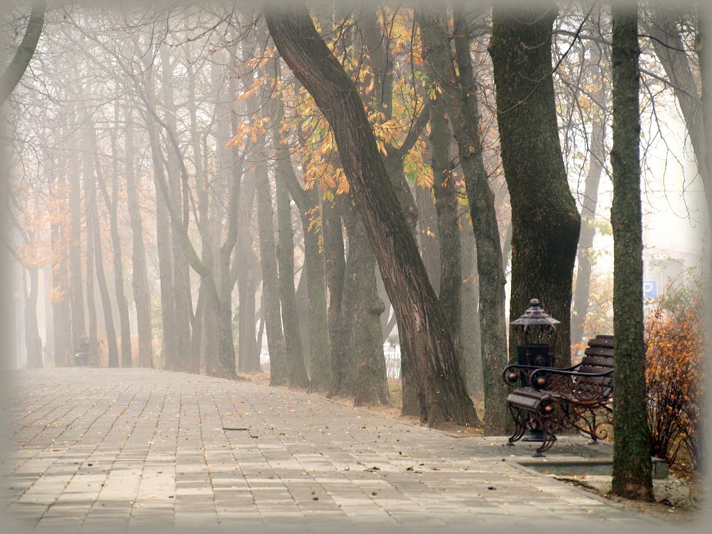 Autumn.