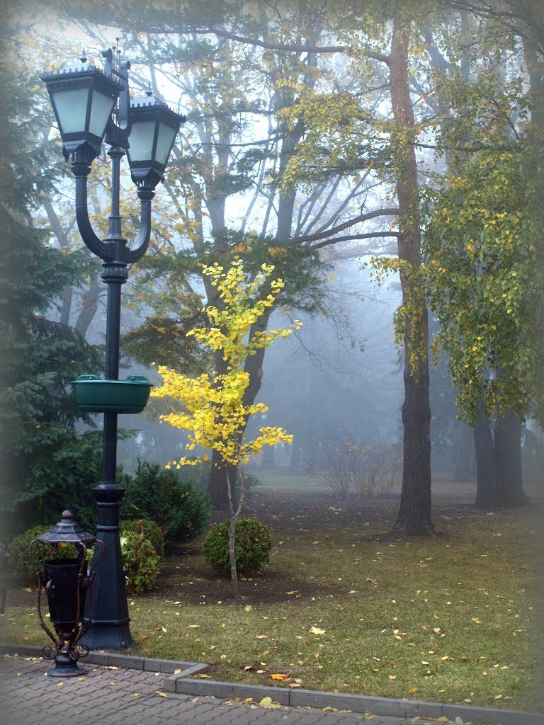 Autumn.