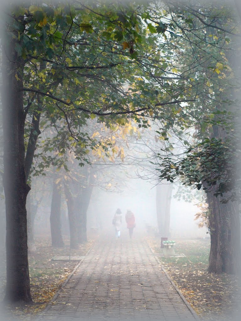 Autumn.
