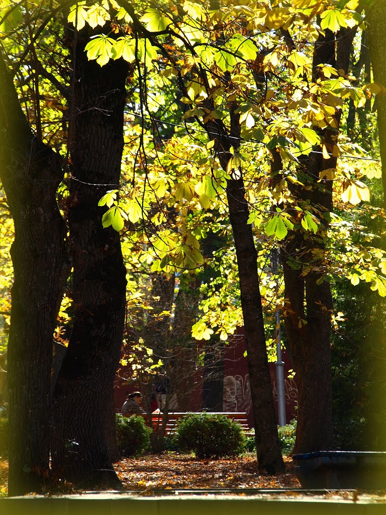 Autumn square.