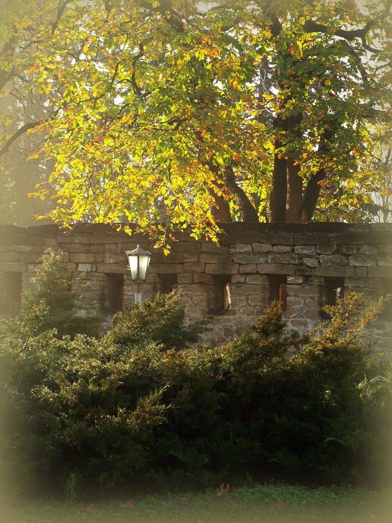 Autumn etude.