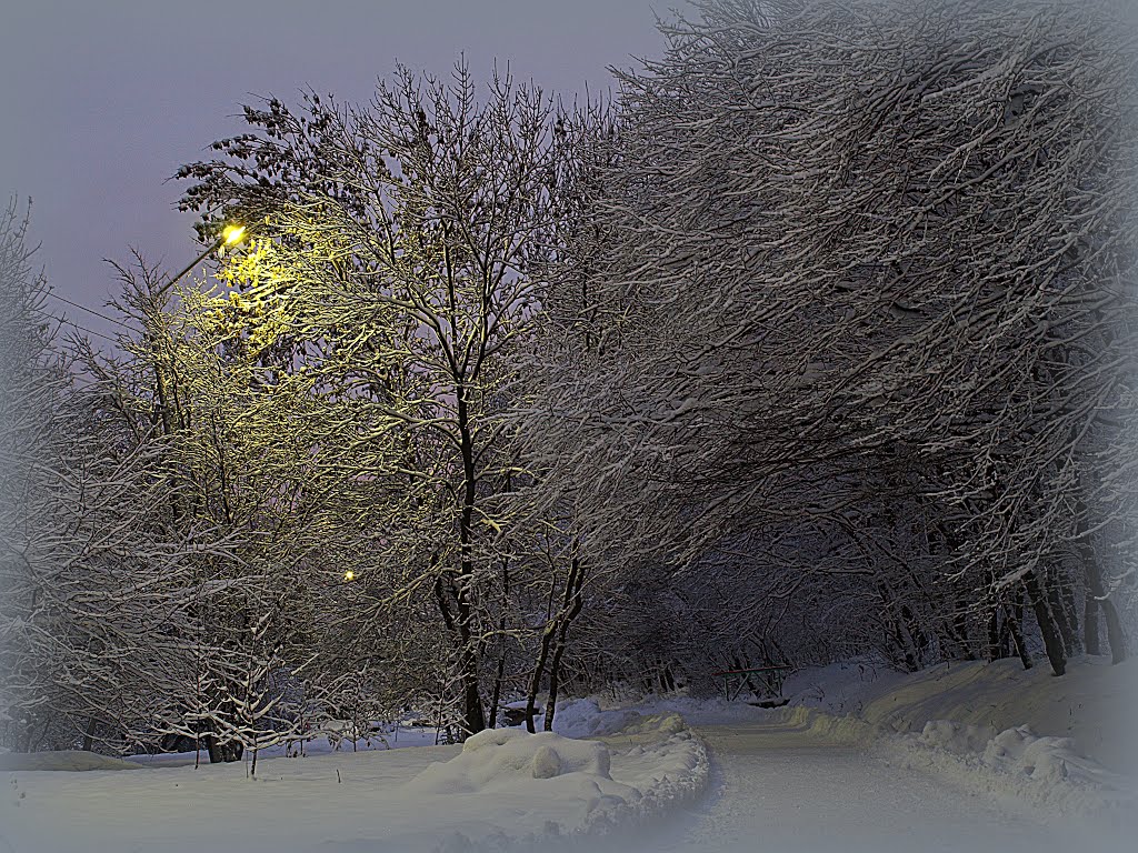 "Hierarchal" (Архиерейский) piece of woodland.