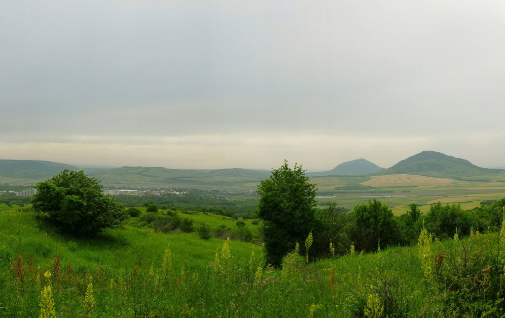 Быкогорка и Верблюд