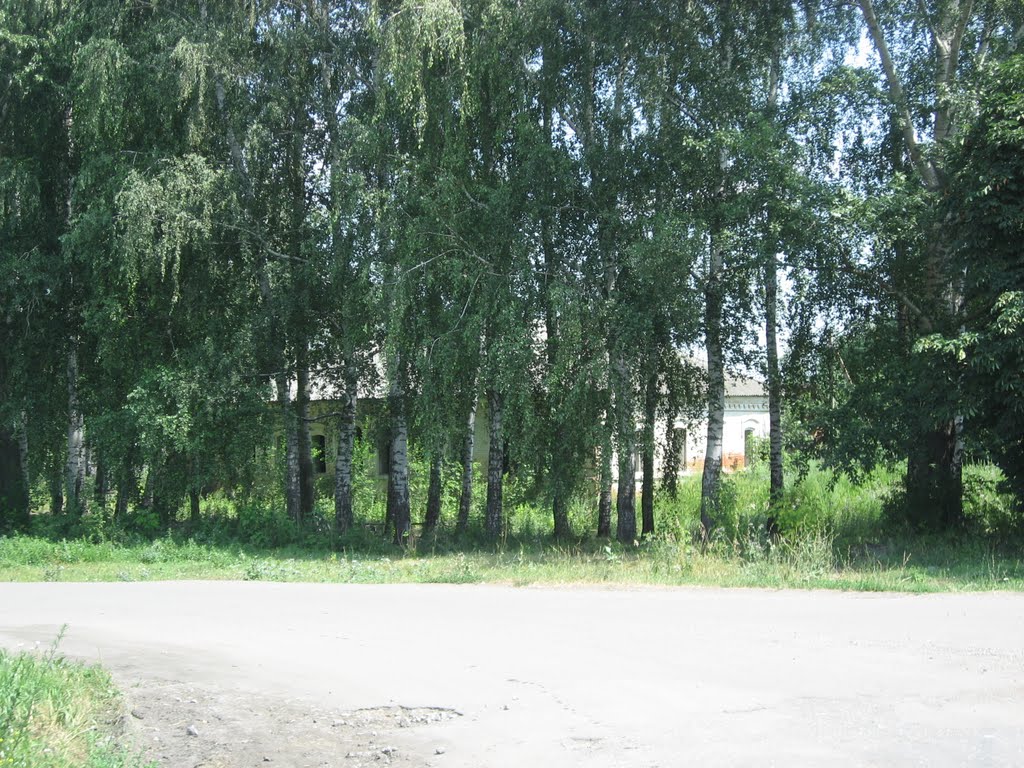 когда то  здесь была сельская школа