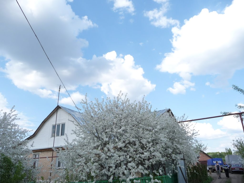 Весна в Гавриловке