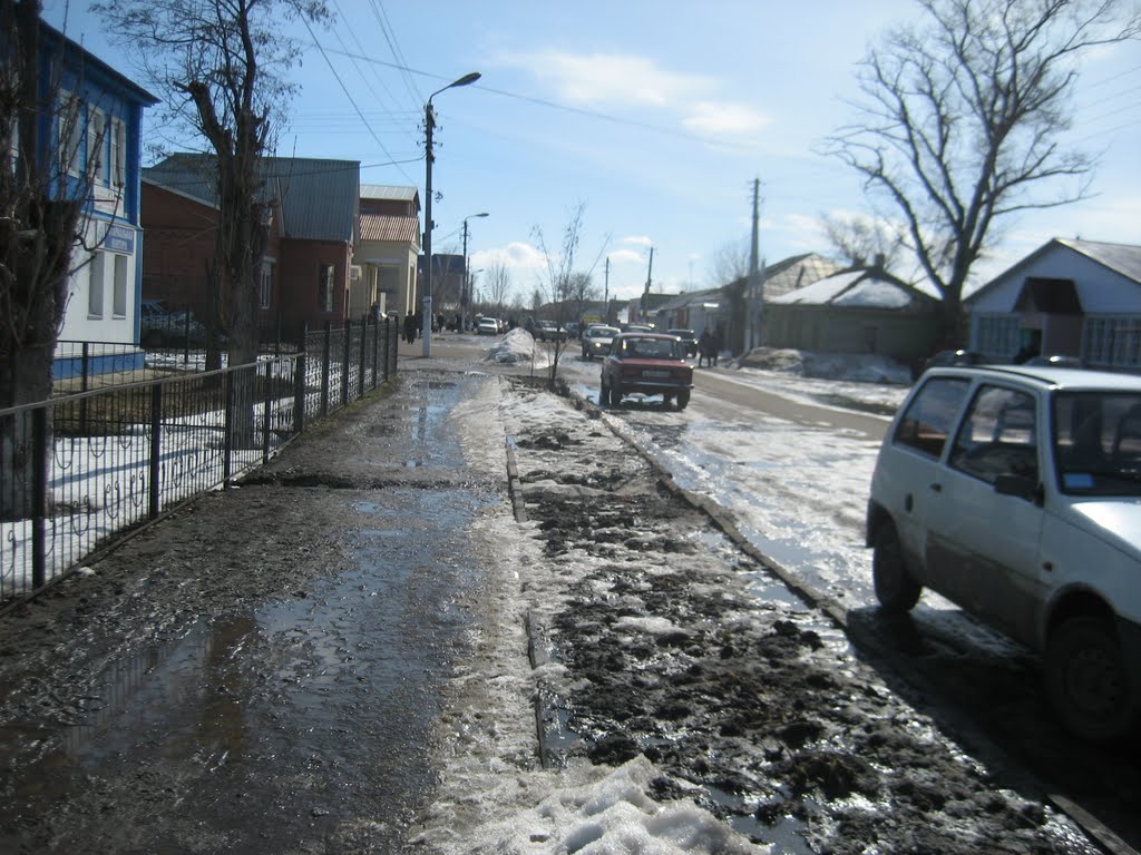 центральная улица г. Жердевка 24.03.2011г
